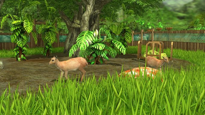 Wildlife Park 3 - Amazonas Torrent Download