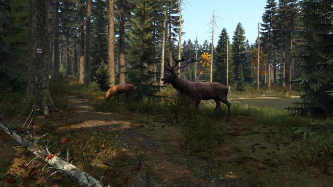 DayZ Torrent Download