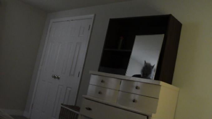 Real Scary Torrent Download