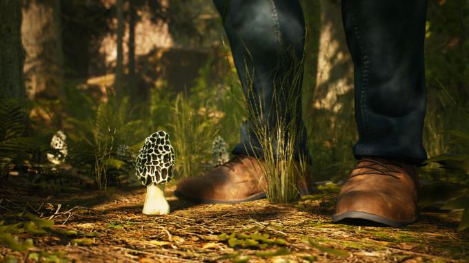 Morels The Hunt Spring Torrent Download