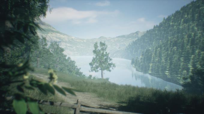 Wakamarina Valley New Zealand PC Crack