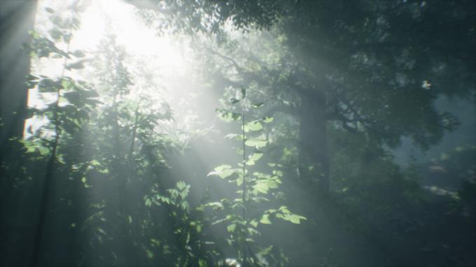 Wakamarina Valley New Zealand Torrent Download