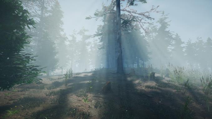 Mushroom Picker Simulator Torrent Download Mushroom Picker Simulator Torrent Download