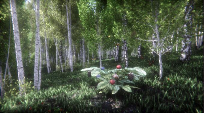 Berries Challenge PC Crack Berries Challenge PC Crack