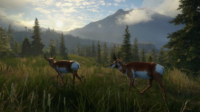 theHunter: Call of the Wild TruAXIS Torrent Download theHunter: Call of the Wild TruAXIS Torrent Download