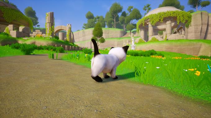 Cat Go! Ultimate Challenge Torrent Download Cat Go! Ultimate Challenge Torrent Download
