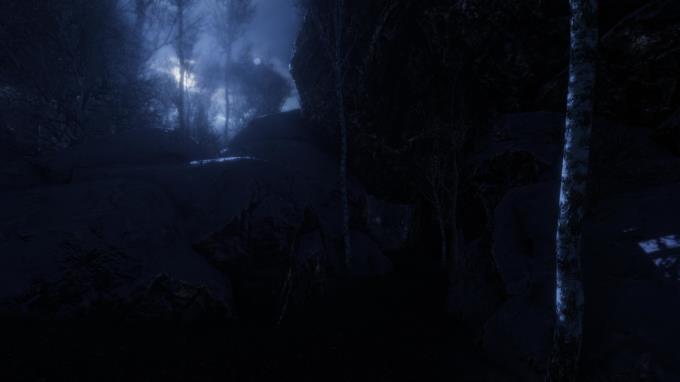 The Forgotten Torrent Download The Forgotten Torrent Download