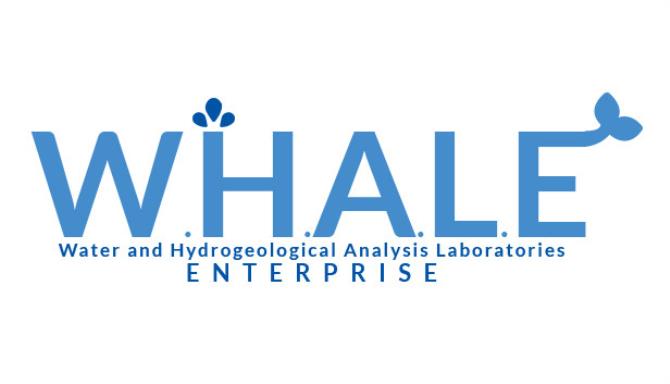W H A L E Free Download