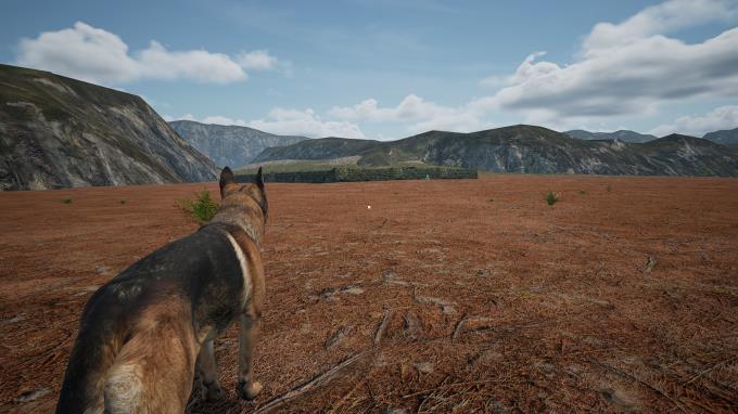 DogFoxBunny Torrent Download DogFoxBunny Torrent Download