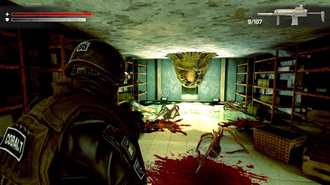 Wall of insanity Torrent Download