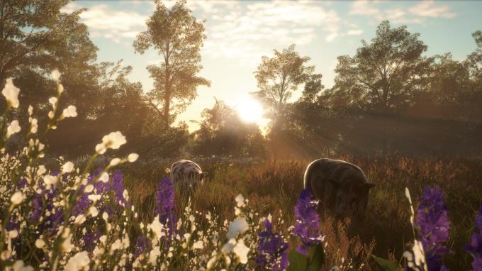 theHunter Call of the Wild Mississippi Acres Preserve Torrent Download theHunter Call of the Wild Mississippi Acres Preserve Torrent Download