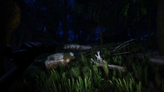 Forest PC Crack Forest PC Crack