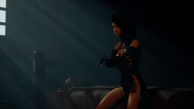 Shadow Watcher PC Crack