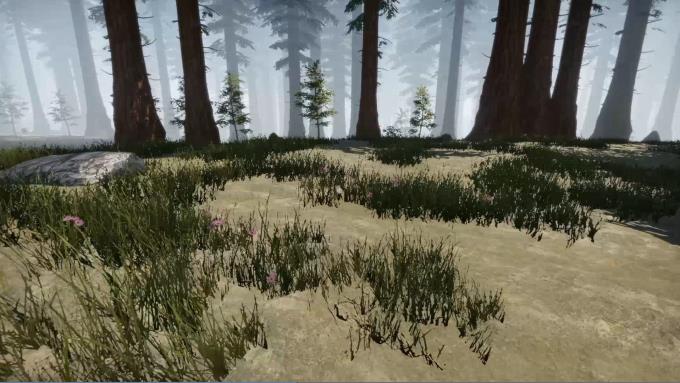 Missing Plane Survival PC Crack