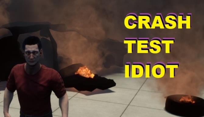 CRASH TEST IDIOT Free Download