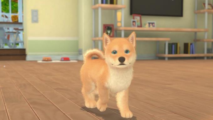 My Universe Puppies and Kittens PC Crack