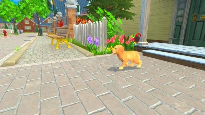 My Universe Puppies and Kittens Torrent Download