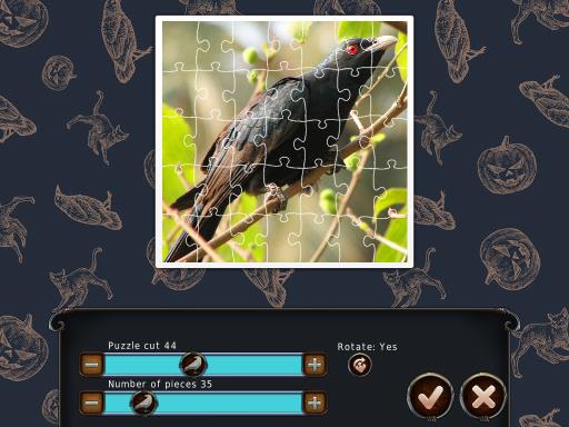 1001 Black Raven Jigsaw PC Crack