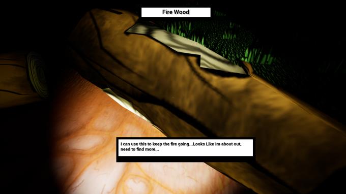 Lil' Horror Stories: The Camp Fire PC Crack