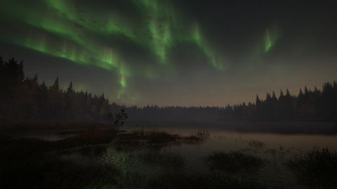 theHunter Call of the Wild Revontuli Coast PC Crack