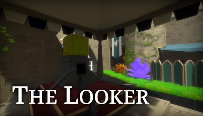 The Looker Free Download
