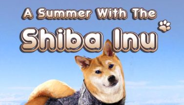 featured a summer with the shiba inu free download