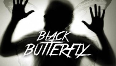 featured black butterfly free download
