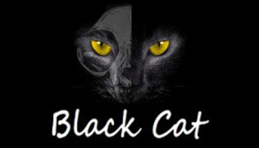 featured black cat free download 2