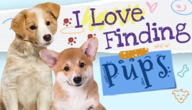 featured i love finding pups free download 2