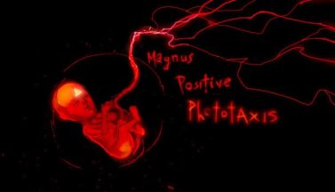 featured magnus positive phototaxis free download 20230327 082015