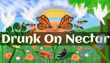 featured nature and life drunk on nectar free download