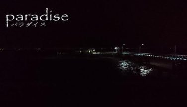 featured paradise free download