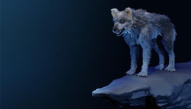 featured shapelab free download 20230327 081255