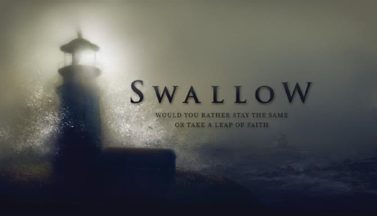 featured swallow free download 2