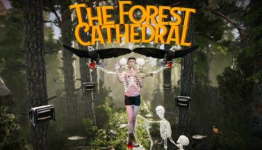 featured the forest cathedral free download 20230327 080444
