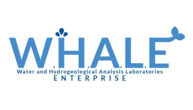 featured whale free download