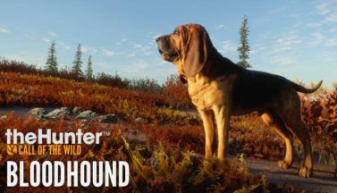 featured thehunter call of the wild bloodhound free download