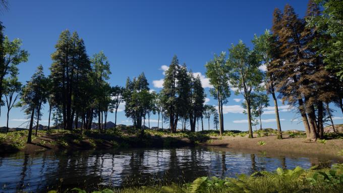 Sounds of Nature PC Crack Sounds of Nature PC Crack