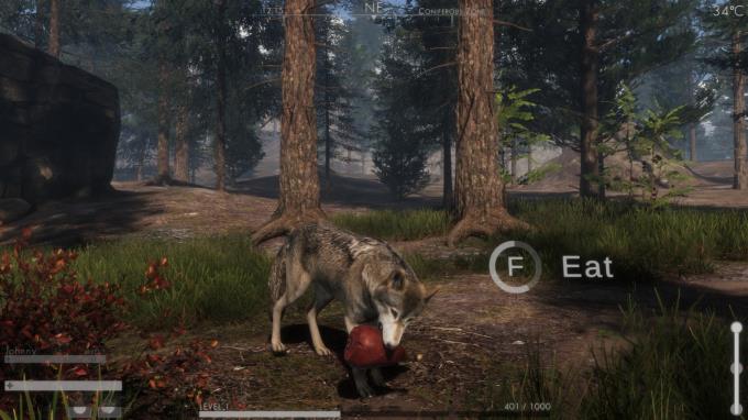 The WILDS Torrent Download