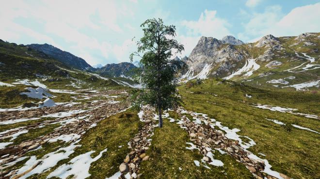 Birch Simulator Torrent Download