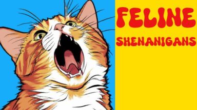 Featured Feline Shenanigans Free Download