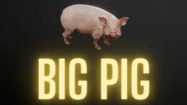 Featured Big Pig Free Download