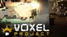 Featured Voxel Project VR Free Download