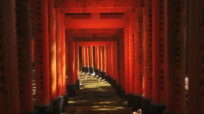 Lushfoil Photography Sim PC Crack