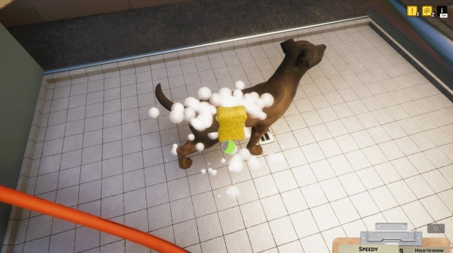 Animal Shelter v1 3 19 38 257 PC Crack Animal Shelter v1 3 19 38 257 PC Crack