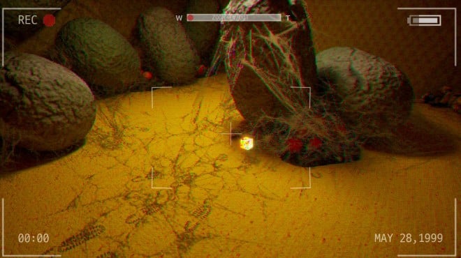 Backroom Company PC Crack