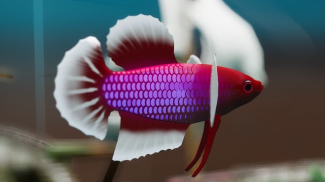 Fish Game Betta Fish Pack 1 Torrent Download