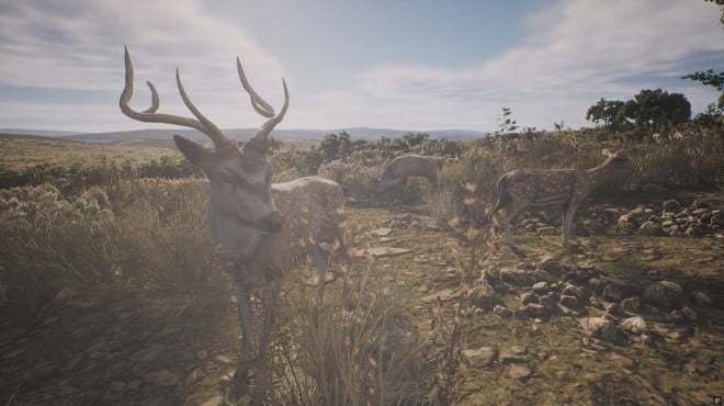 PROJECT HUNT LONE STAR HUNTING RANCH PC Crack