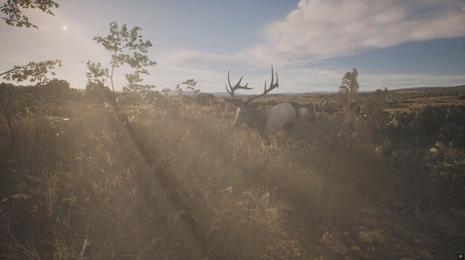 PROJECT HUNT LONE STAR HUNTING RANCH Torrent Download