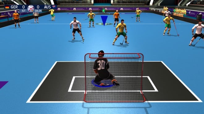 Floorball League 2010 PC Crack